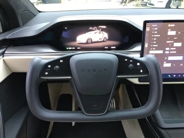 Tesla Model X — Фото автомобиля 19