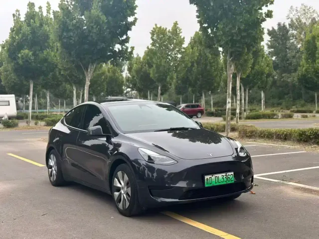 Tesla Model Y — Фото автомобиля 2