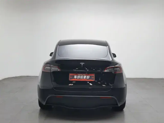 Tesla Model Y — Фото автомобиля 4