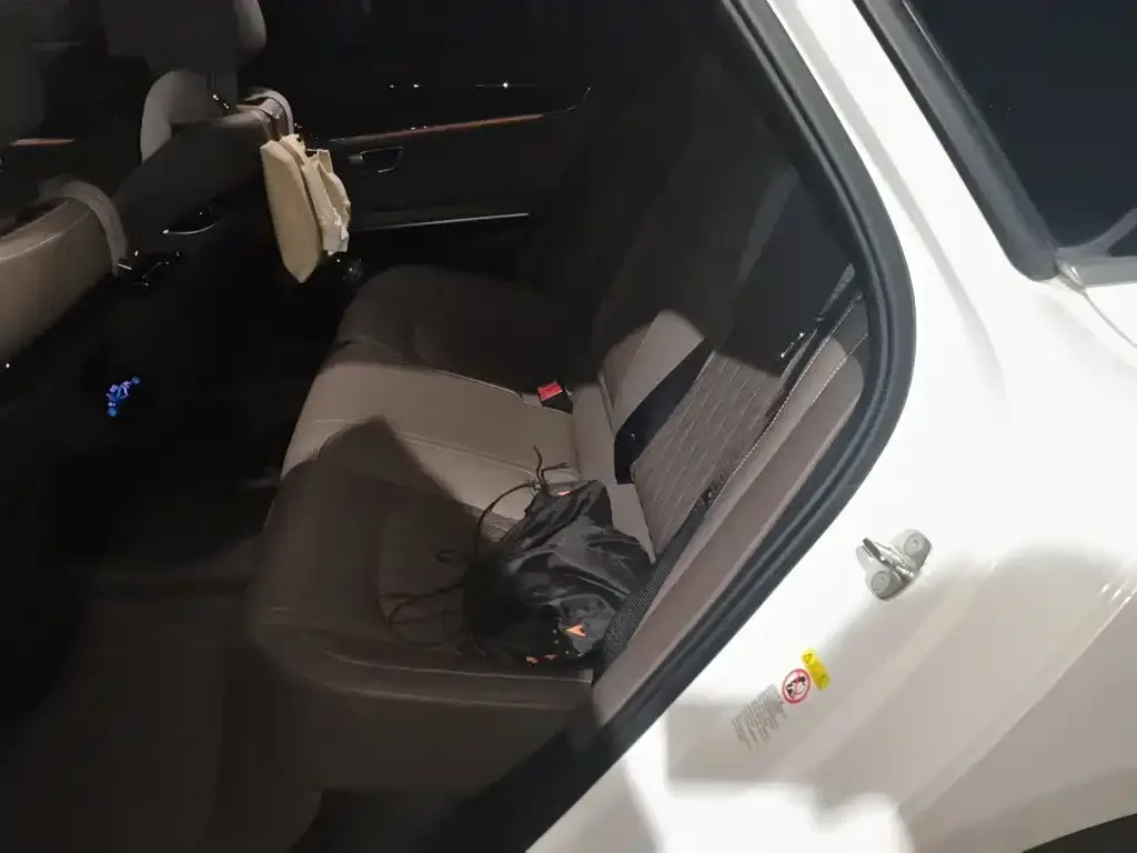 BYD Han 2020 DM AWD Performance Premium — Фото автомобиля 13
