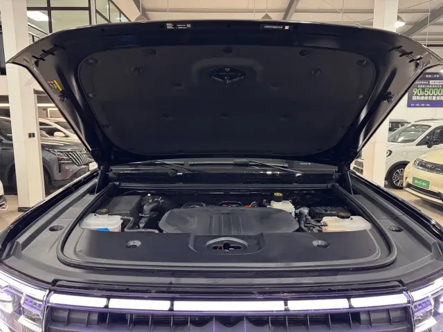 BYD FangChengBao Leopard 5 — Фото автомобиля 24