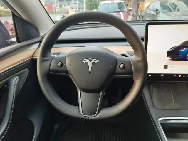 Tesla Model Y — Фото автомобиля 10