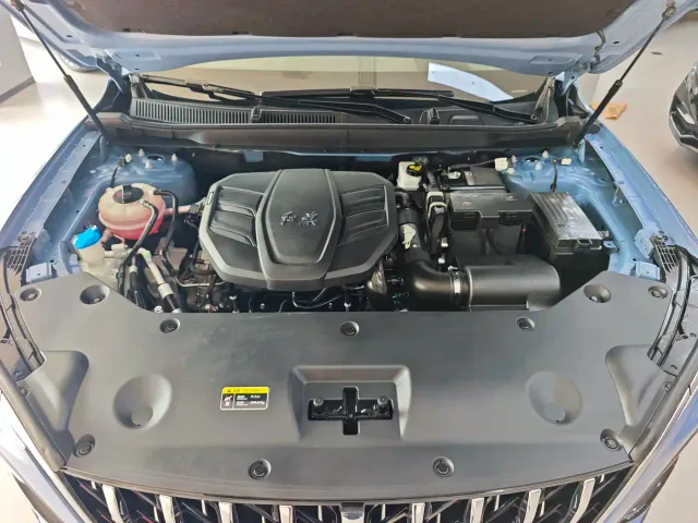 Hongqi Hongqi HS5 2023 2.0T 4WD Flag Leader Pro — Фото автомобиля 18