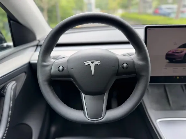 Tesla Model Y — Фото автомобиля 19