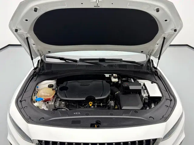 Geely Xingrui — Фото автомобиля 18