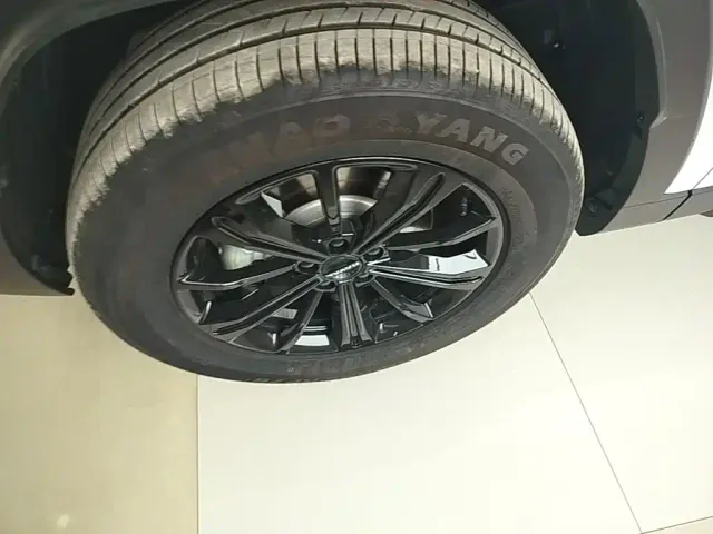 Haval Raptor — Фото автомобиля 22