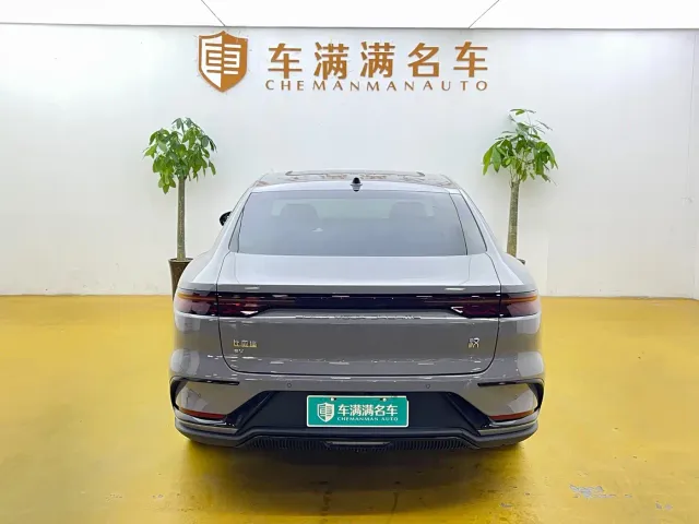 BYD Han — Фото автомобиля 10