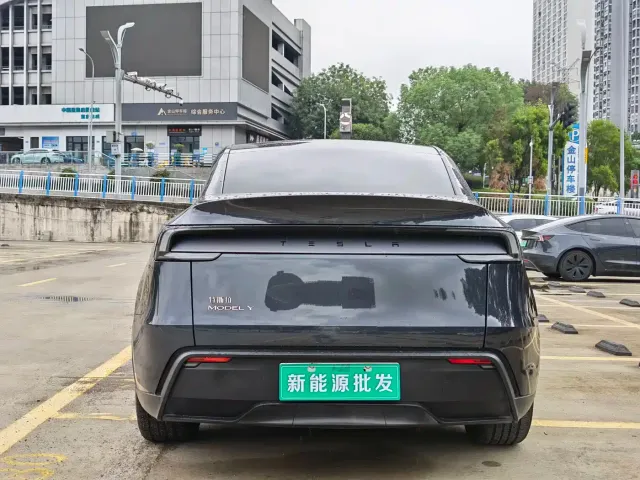Tesla Model Y — Фото автомобиля 5