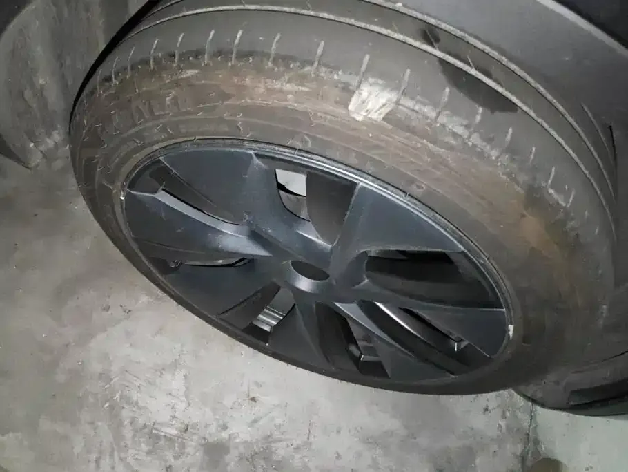 Tesla Model Y 2024 Rear-Wheel Drive Version — Фото автомобиля 6