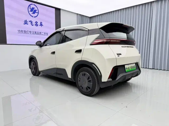 BYD Seagull — Фото автомобиля 6