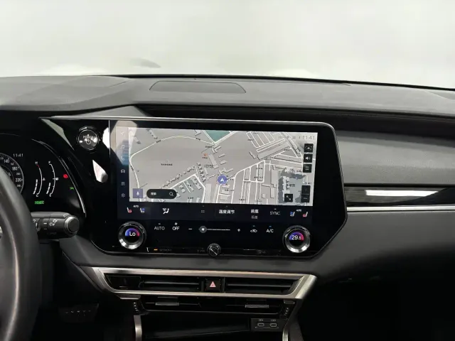 Lexus RX — Фото автомобиля 17