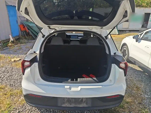 Geely Geometry E Firefly — Фото автомобиля 18