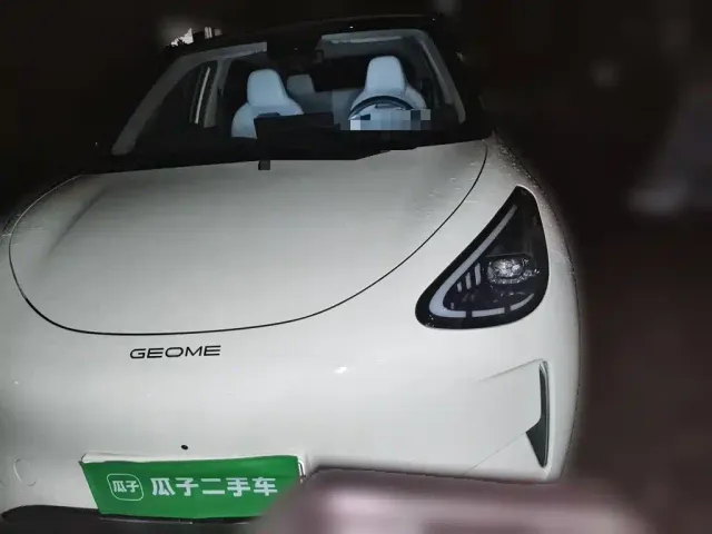 Фотография автомобиля — Geely Starry Wish