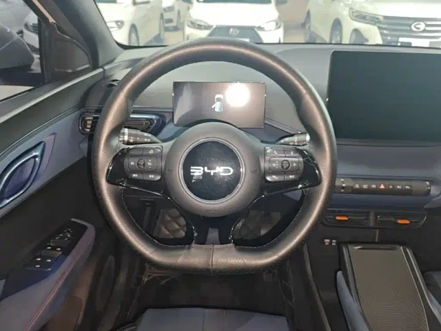 BYD Seagull — Фото автомобиля 10