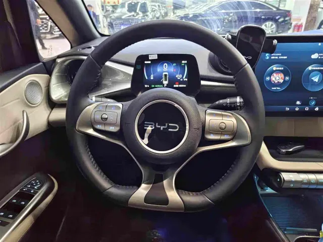 BYD Dolphin — Фото автомобиля 8