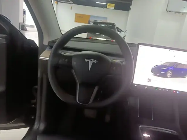 Tesla Model Y — Фото автомобиля 10