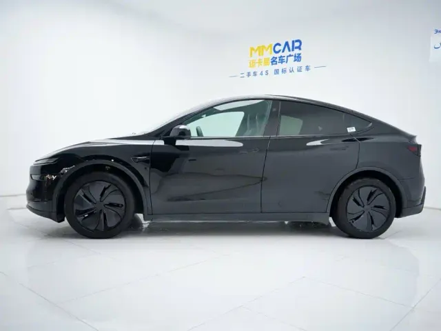 Tesla Model Y — Фото автомобиля 10