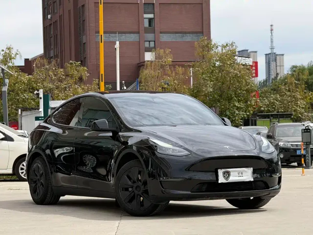 Tesla Model Y — Фото автомобиля 3