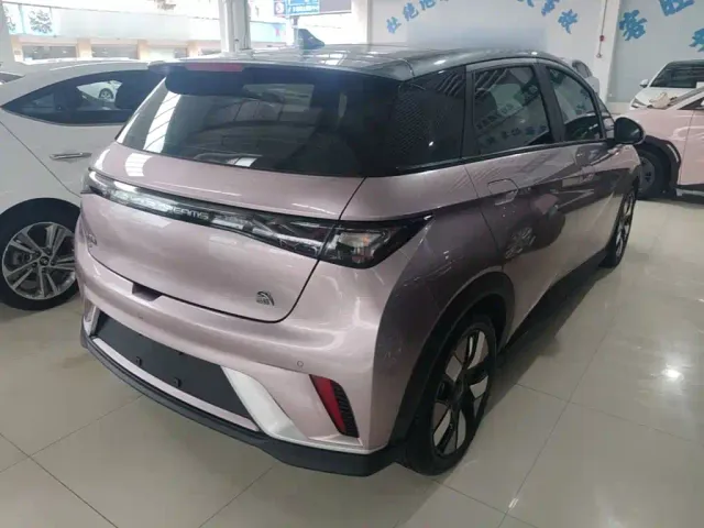 BYD Dolphin — Фото автомобиля 6