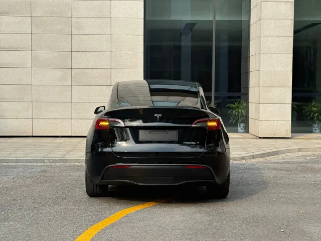 Tesla Model Y — Фото автомобиля 18