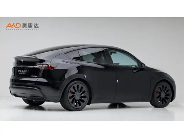 Tesla Model Y — Фото автомобиля 3