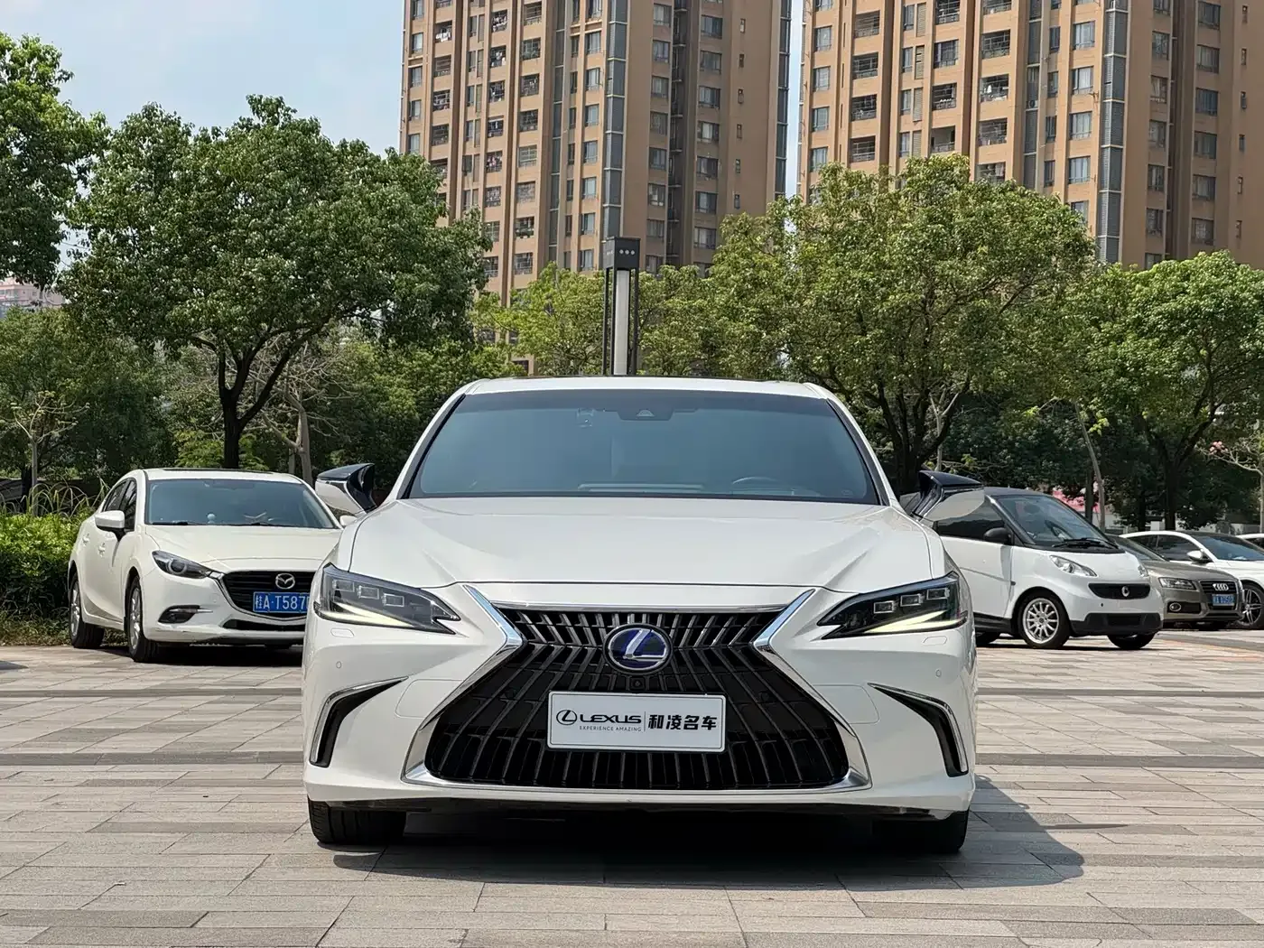 Lexus Lexus ES 2021 300h Executive Edition — Фото автомобиля 2