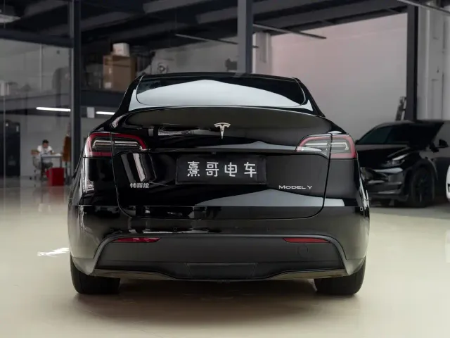 Tesla Model Y — Фото автомобиля 6