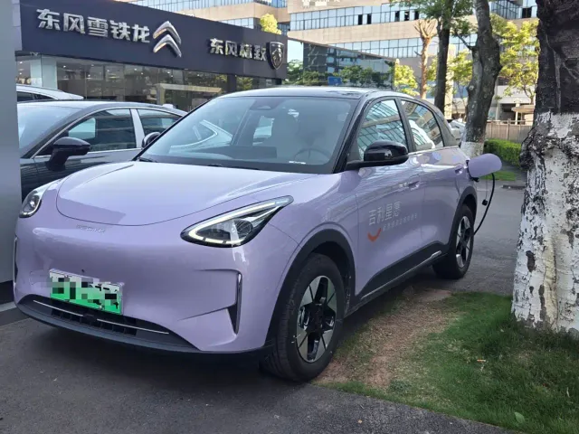 Фотография автомобиля — Geely Starry Wish