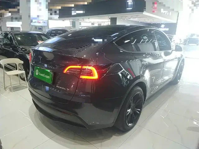 Tesla Model Y — Фото автомобиля 6