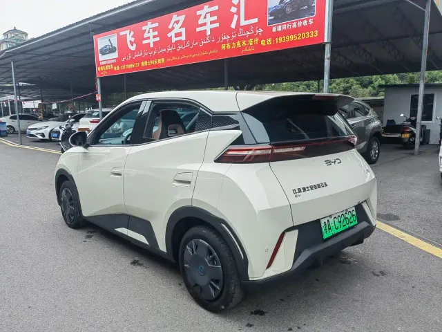 BYD Seagull — Фото автомобиля 15