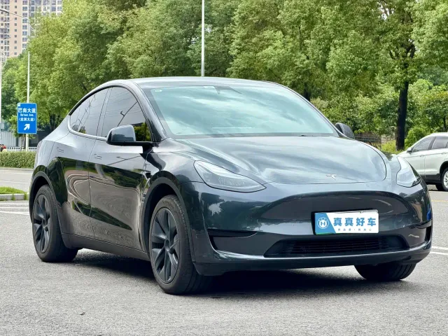 Tesla Model Y — Фото автомобиля 3
