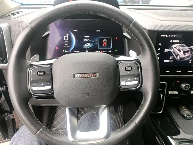 Haval Big Dog — Фото автомобиля 10