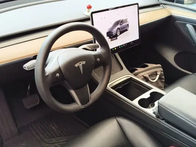 Tesla Model Y — Фото автомобиля 9