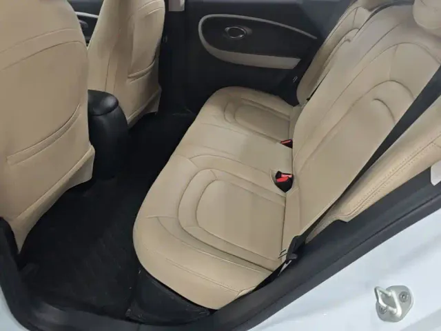 JAC Yiwei Yiwei 3 2024 Beloved Edition 330km Lite — Фото автомобиля 16