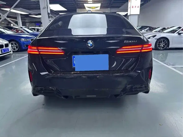 BMW 5 Series — Фото автомобиля 22