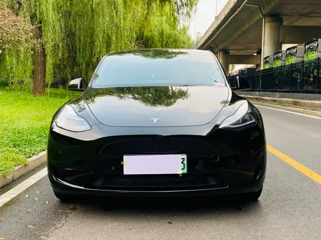 Tesla Model Y — Фото автомобиля 2