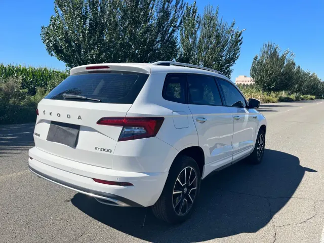 Skoda Karoq — Фото автомобиля 7