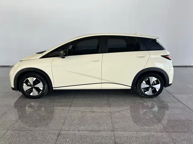 BYD Dolphin — Фото автомобиля 3