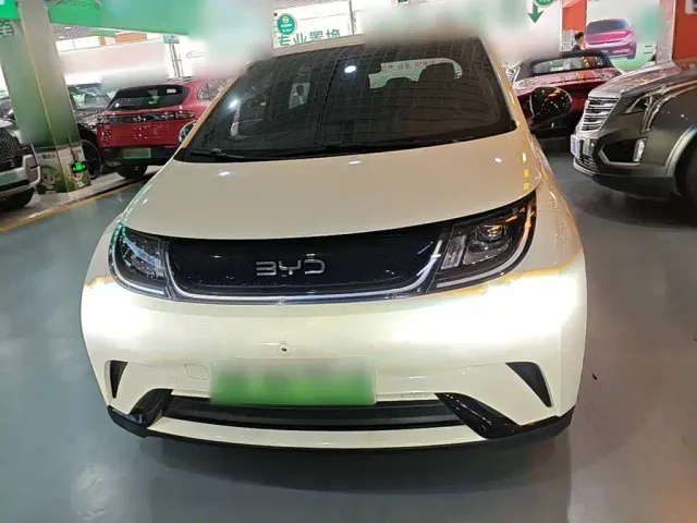 BYD Dolphin — Фото автомобиля 2