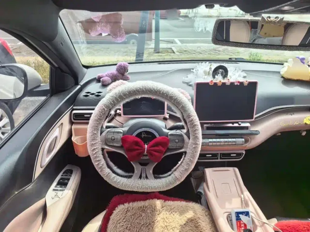 BYD Seagull — Фото автомобиля 6