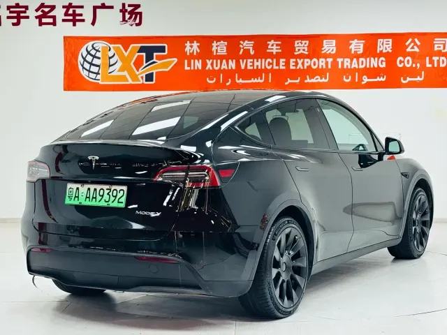 Tesla Model Y — Фото автомобиля 4