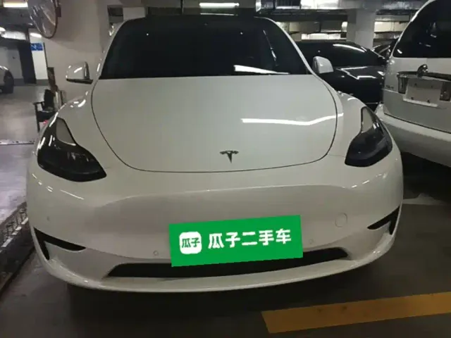 Tesla Model Y — Фото автомобиля 2