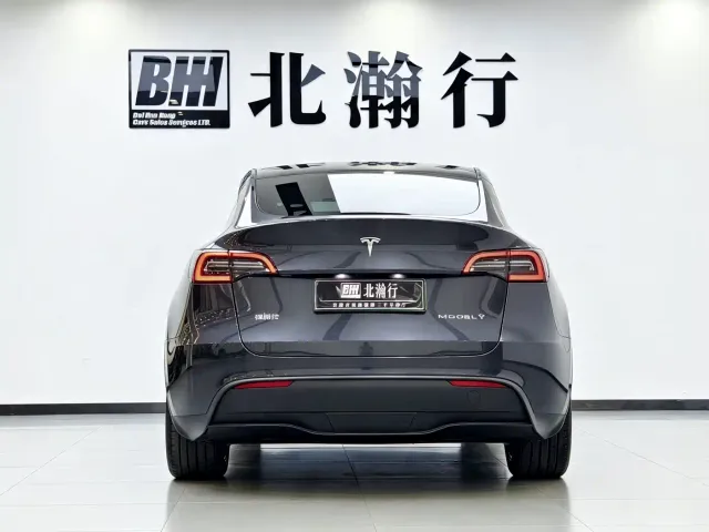 Tesla Model Y — Фото автомобиля 6