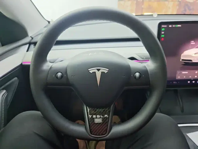 Tesla Model Y — Фото автомобиля 10