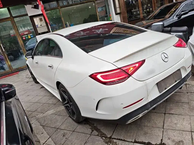 Mercedes-Benz CLS-Class — Фото автомобиля 20