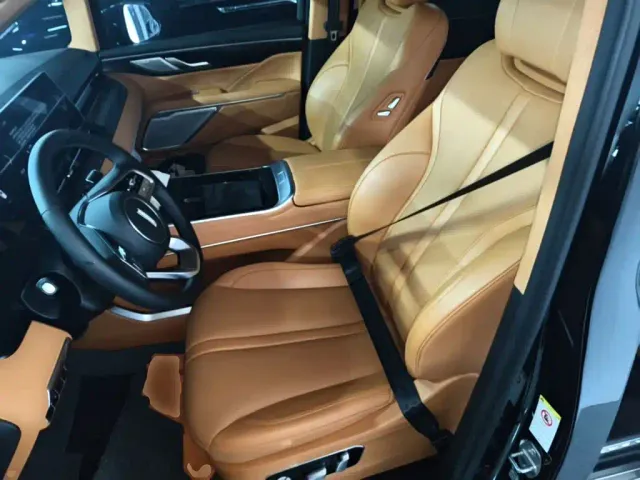 Wey Alpine — Фото автомобиля 14
