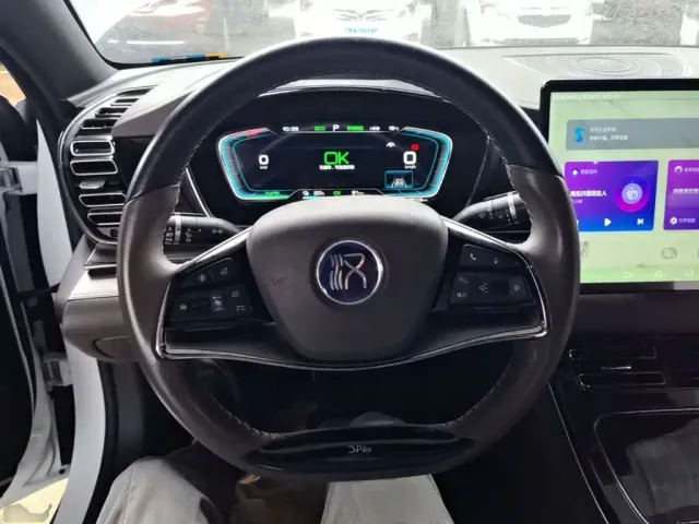 BYD Han — Фото автомобиля 10