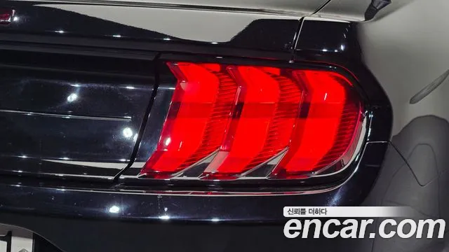 Ford Mustang — Фото автомобиля 23