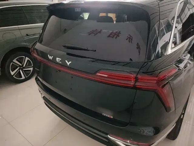 Wey Lanshan — Фото автомобиля 5
