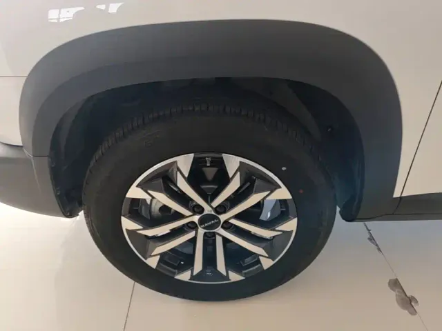 Haval Big Dog — Фото автомобиля 22